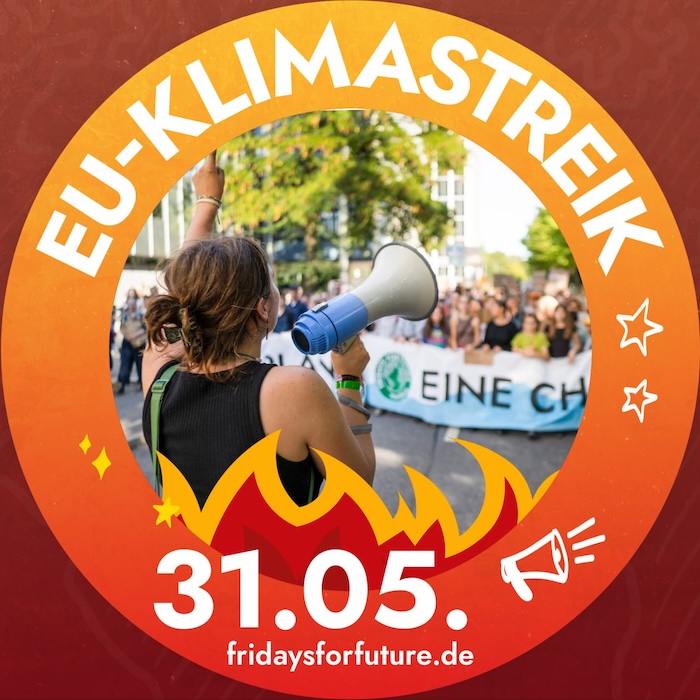 Fridays for Future EU-Klimastreik am 31. Mai 2024